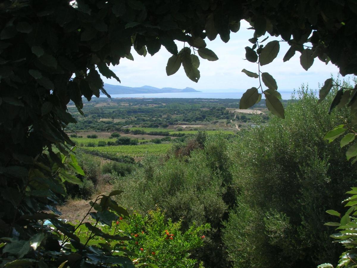 Domenica Badesi
